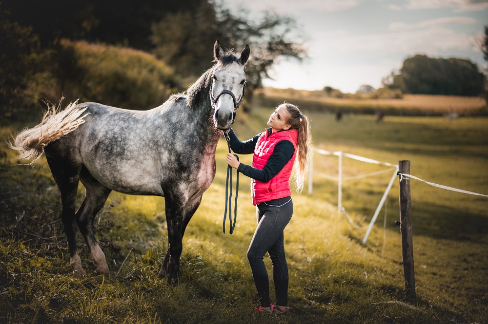 Kůň ve výběhu v obří trávě