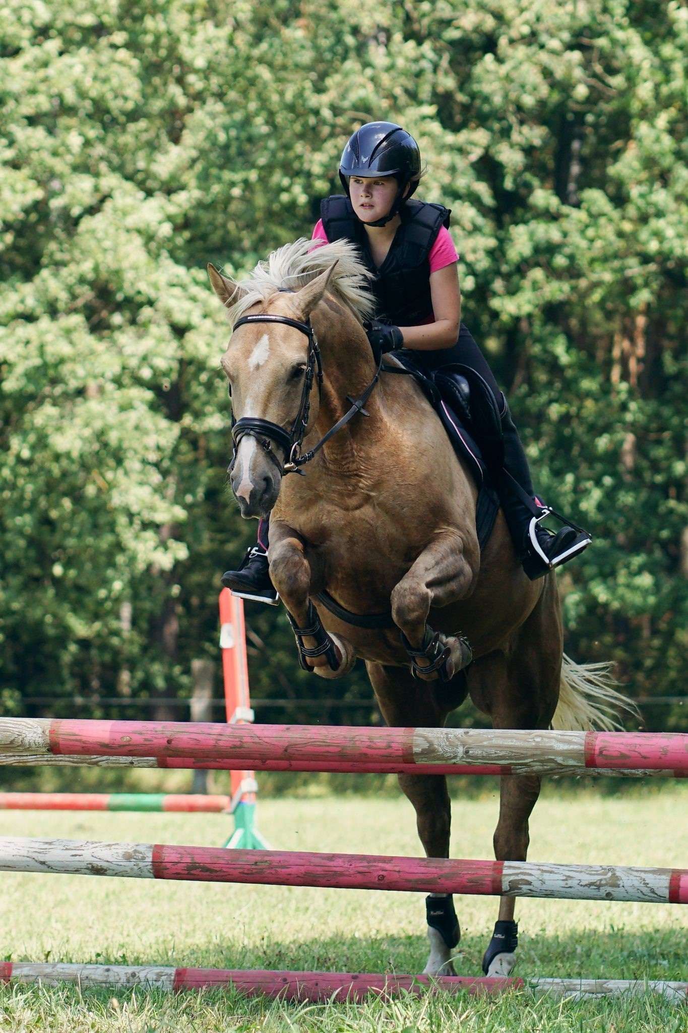 Děti a koně v přírodě