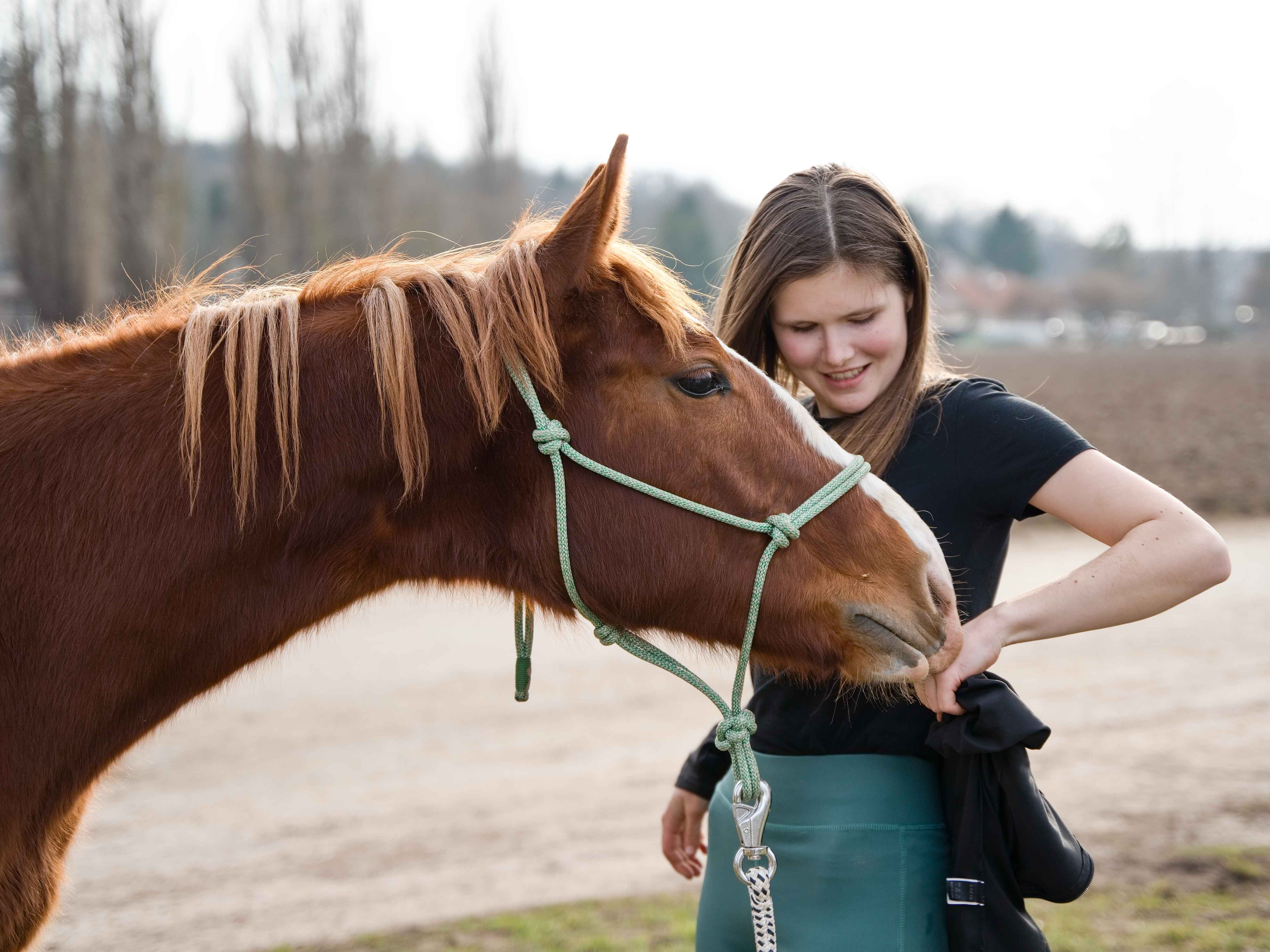 Partnerství s koněm