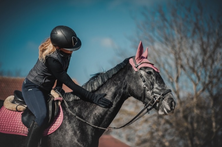Trénink a péče o koně